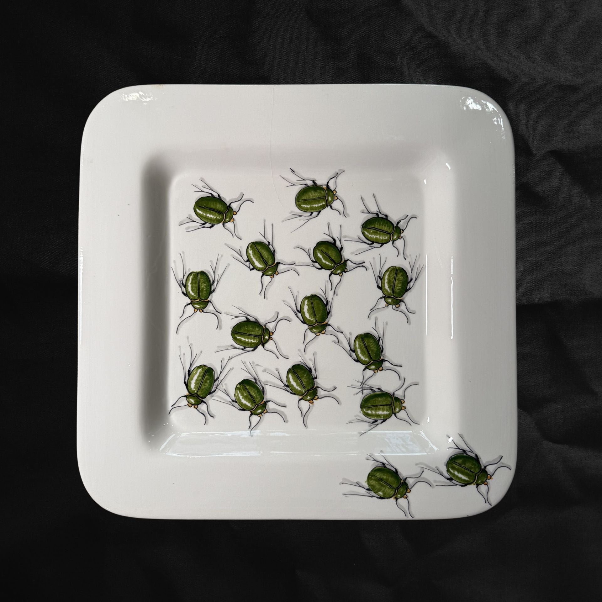 Piatto Con Insetti