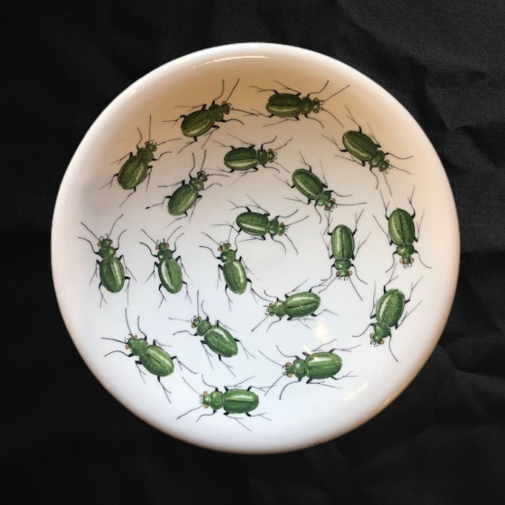 Piatto rotondo con insetti verdi